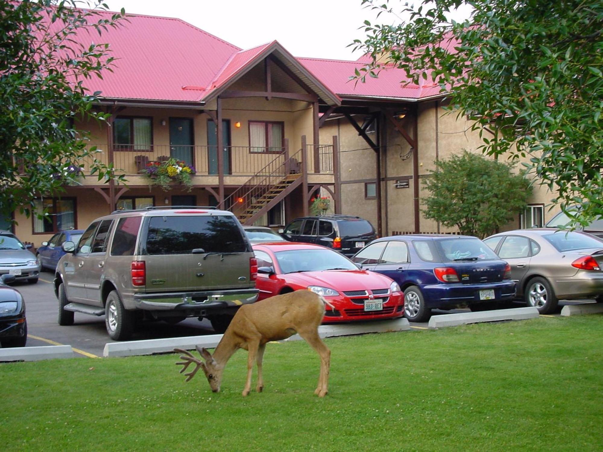 ווטרטון פארק Aspen Village מראה חיצוני תמונה